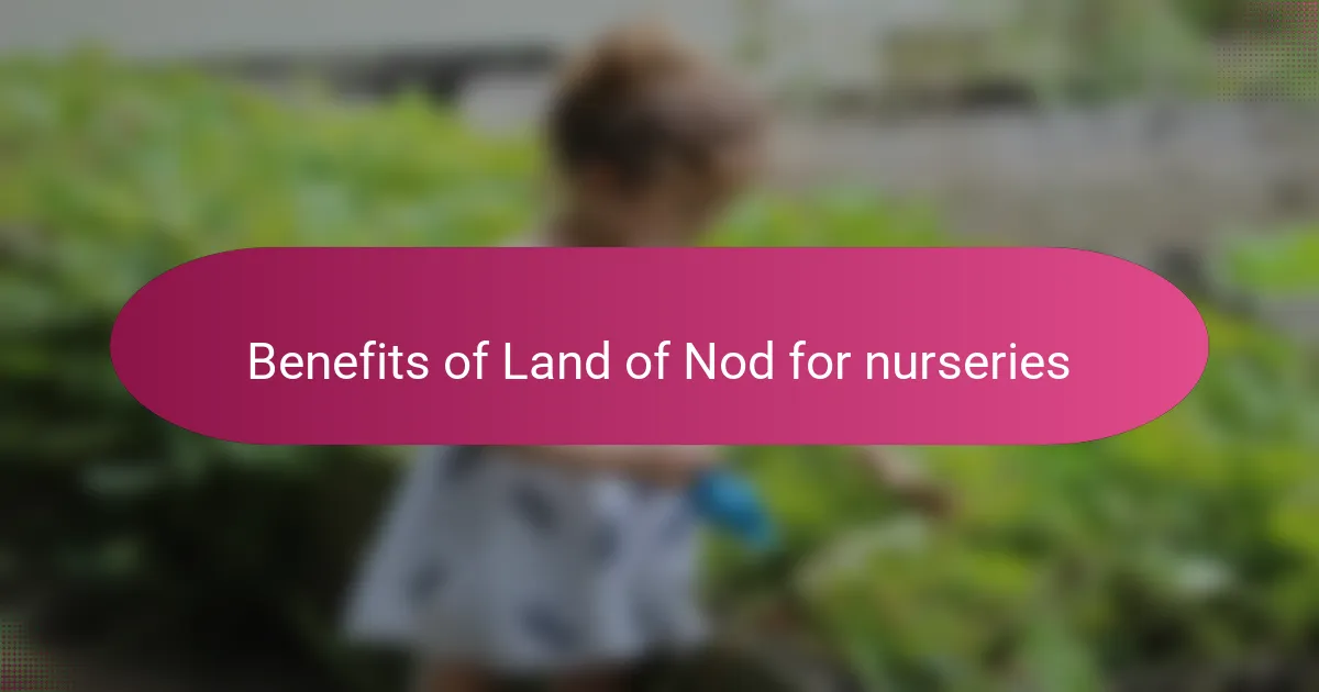 Benefits of Land of Nod for nurseries