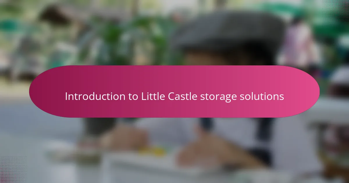 Introduction to Little Castle storage solutions