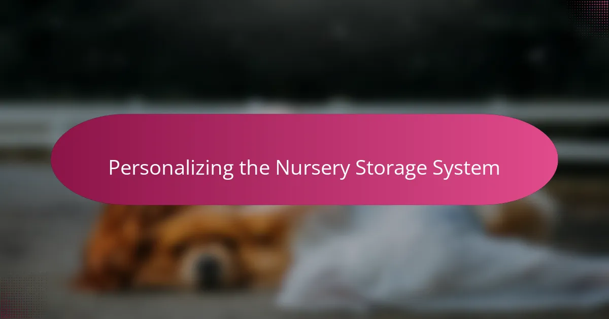 Personalizing the Nursery Storage System