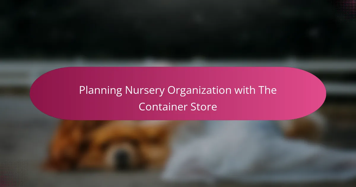 Planning Nursery Organization with The Container Store