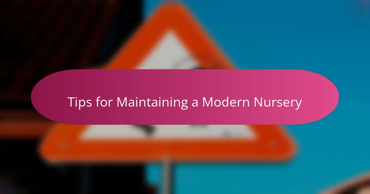 Tips for Maintaining a Modern Nursery