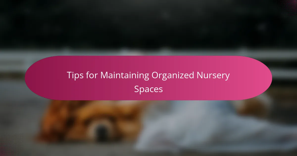 Tips for Maintaining Organized Nursery Spaces