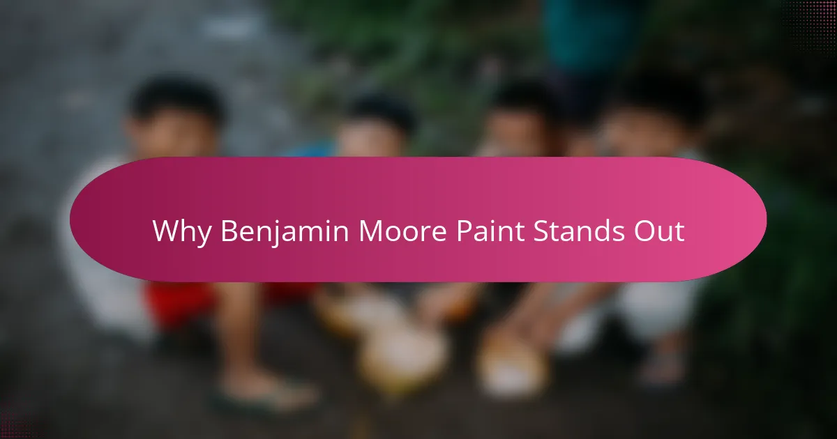 Why Benjamin Moore Paint Stands Out